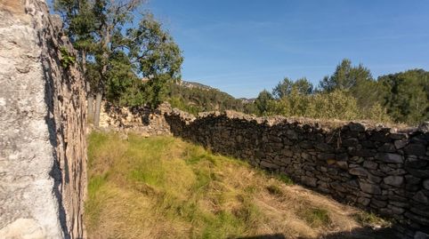Foto 5 de Finca rústica en venda a Tivissa, Tarragona