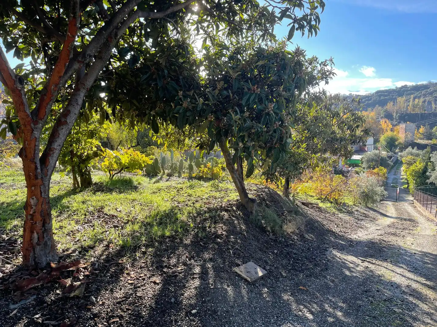 Terreno rustico in vendita a Huétor de Santillán, imagen 11
