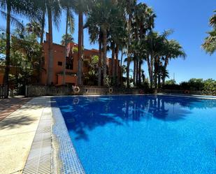Swimming pool of Single-family semi-detached for sale in Marbella  with Air Conditioner, Private garden and Terrace