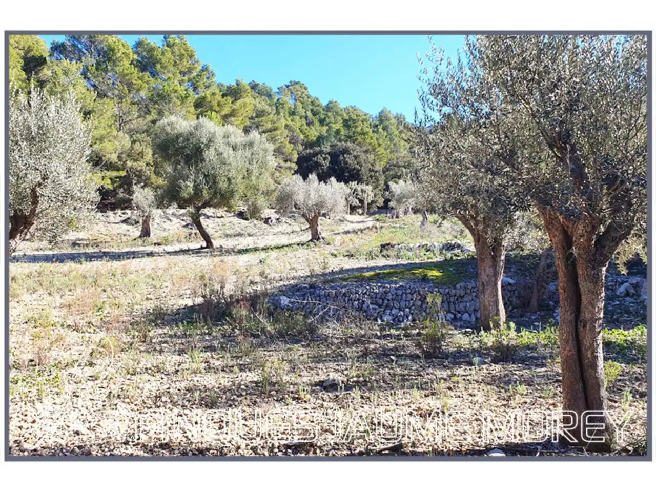 Finca rústica en venta en Mancor de la Vall con Jardín privado y Terraza