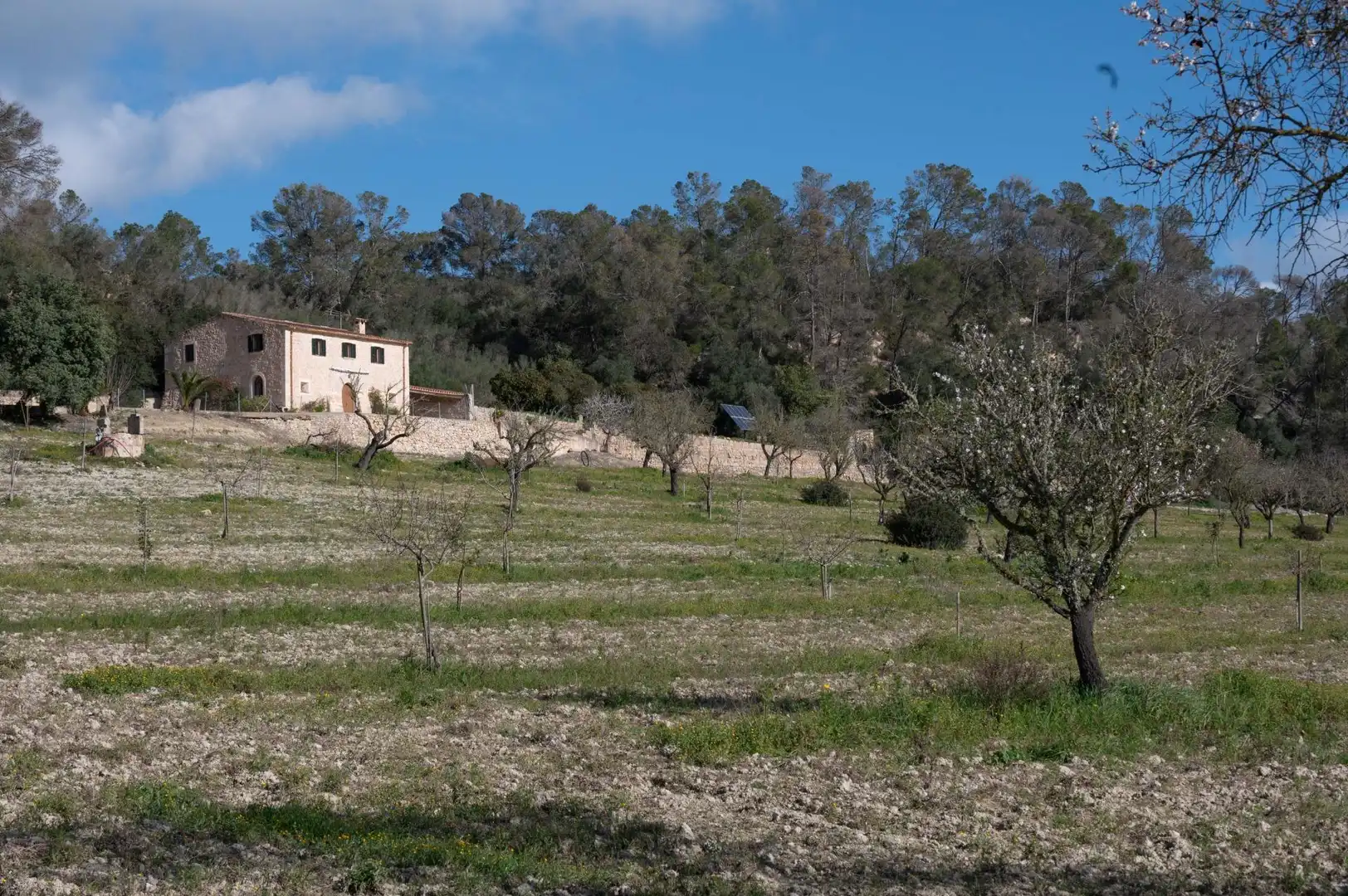 Casa rustica con giardino in vendita a Sineu, imagen 23