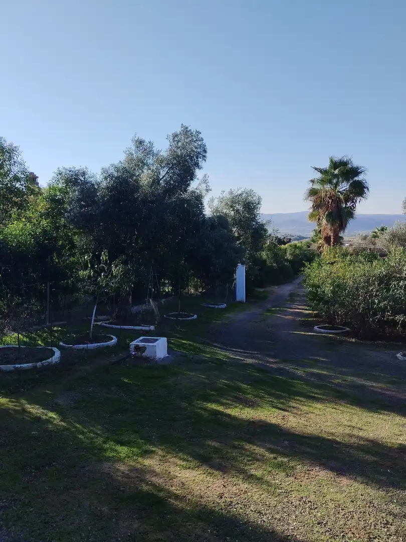 Casa rústica amb jardí en venda a Jerez de los Caballeros, imagen 10
