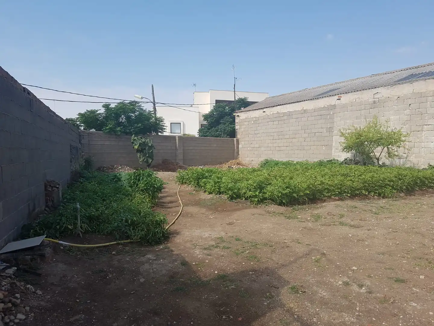 Lands and plots for sale in Corral de Almaguer, imagen 4