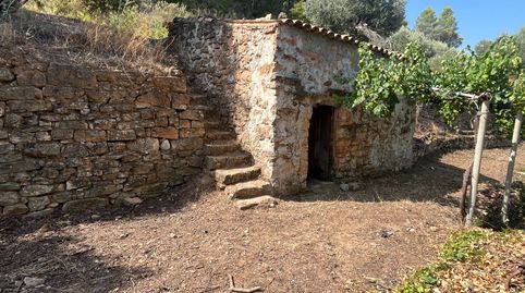 Huerto en Bot con casita de piedra junto al rio Canaletes.