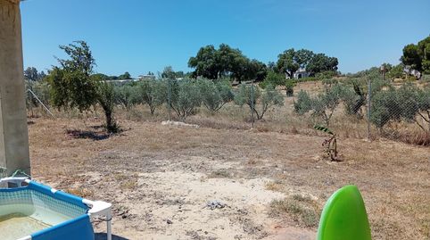Foto 3 de Finca rústica en venta en Villablanca, Huelva