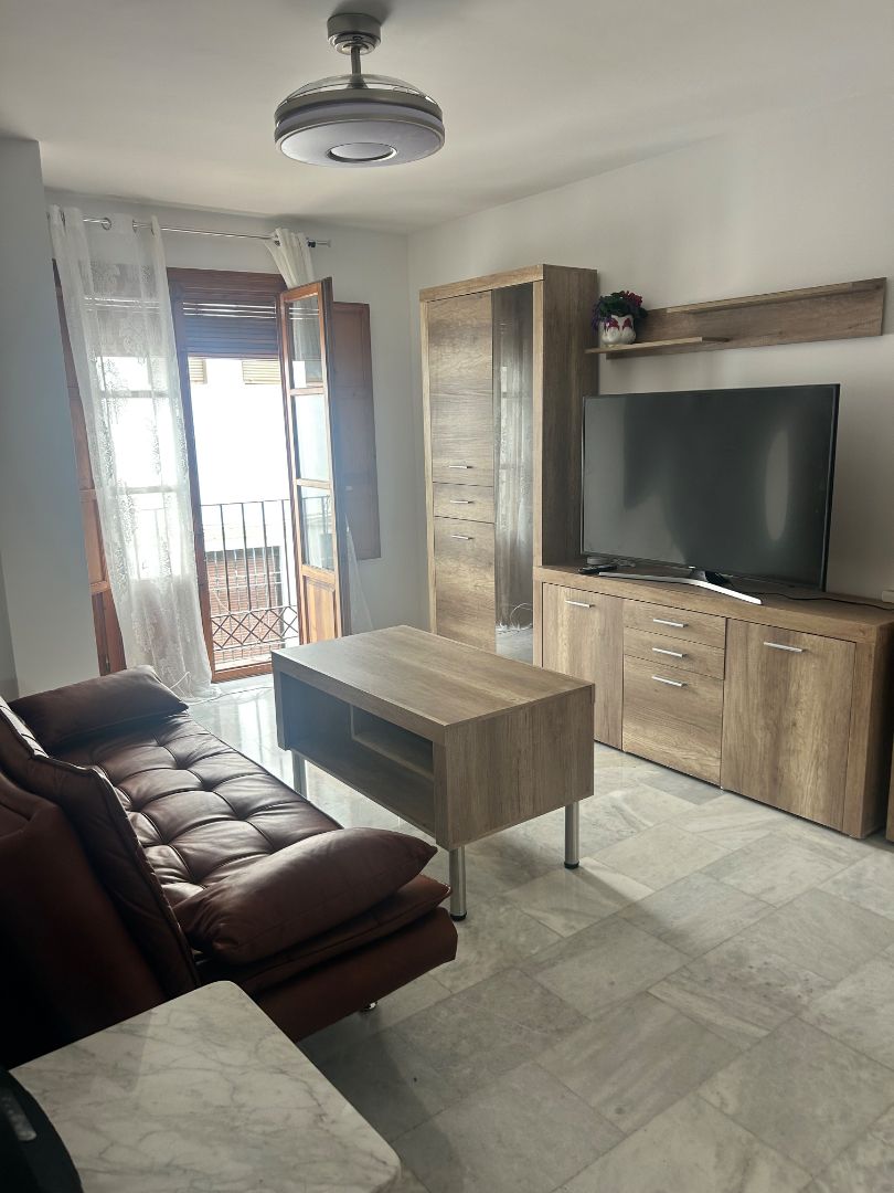 Flat to rent in Zona Centro