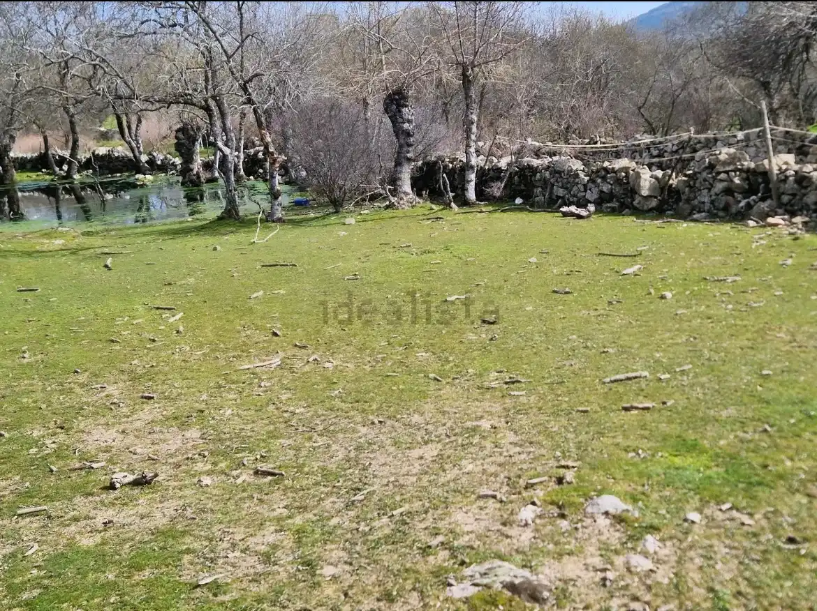 Terreny rústic en venda a Calle Guadamolinos, imagen 3