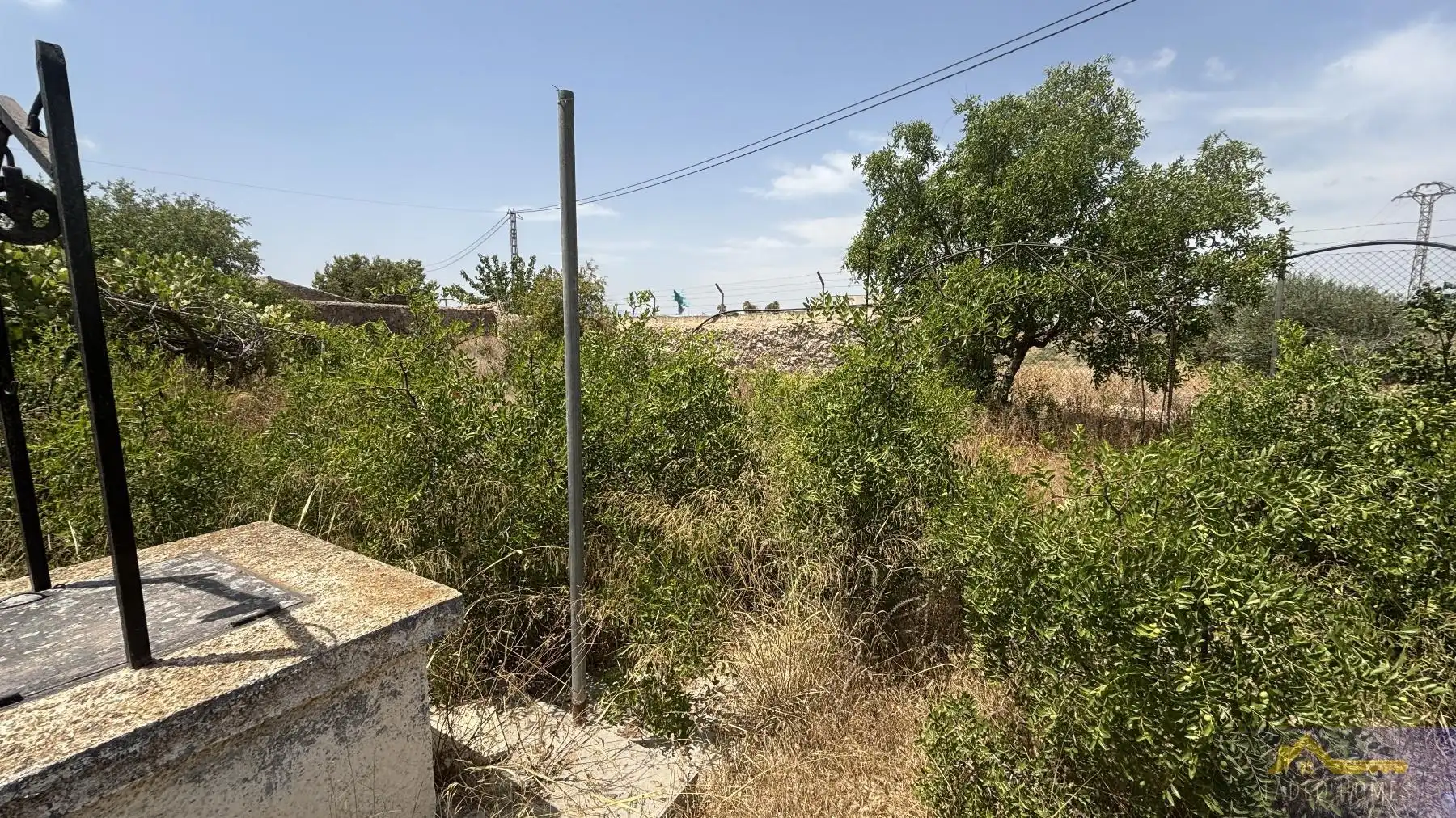 Finca rústica en venda a Paraje Ruices , Los Martinez del Puerto