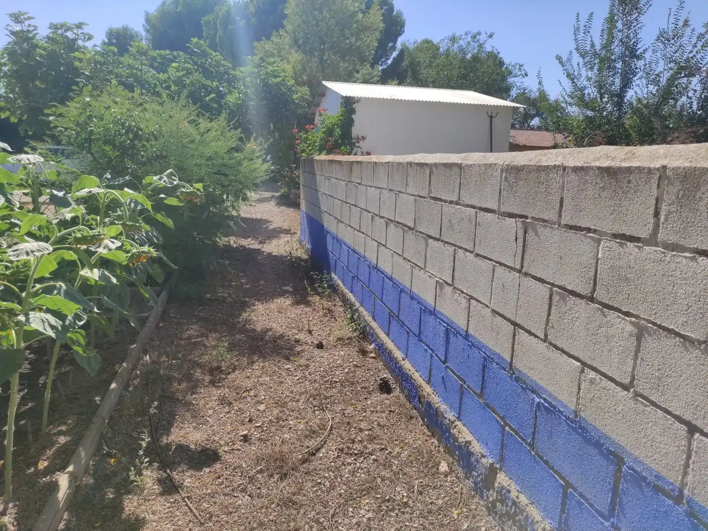 Xalet amb piscina en venda a Miguelturra, imagen 41