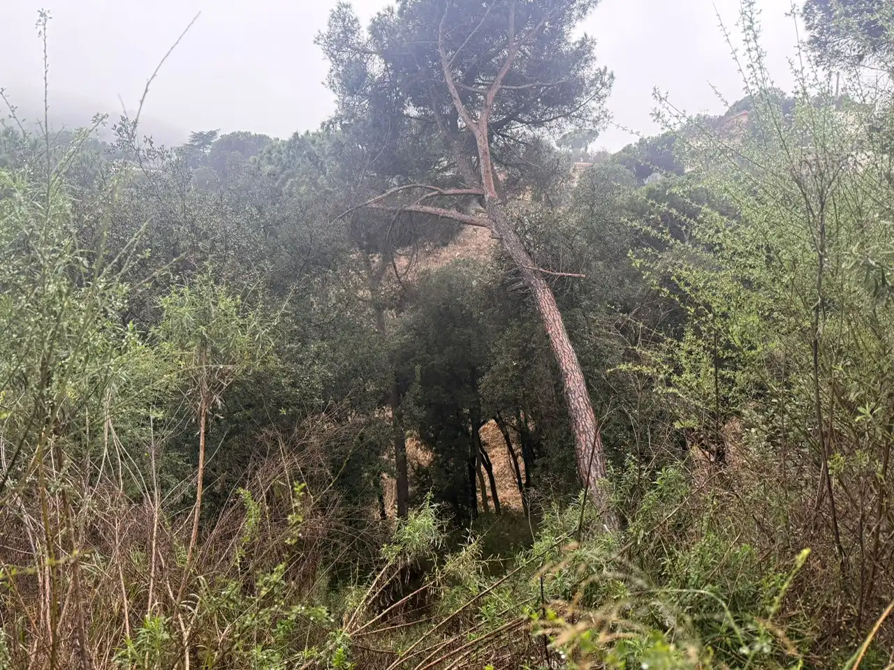 Terreno residenziale in vendita a Can Massuet del Far, imagen 4