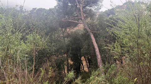 Foto 4 de Residencial en venda a Can Massuet del Far, Dosrius