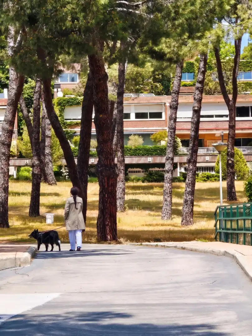 Exterior view of Flat for sale in Madrid  with Air Conditioner, Heating and Terrace