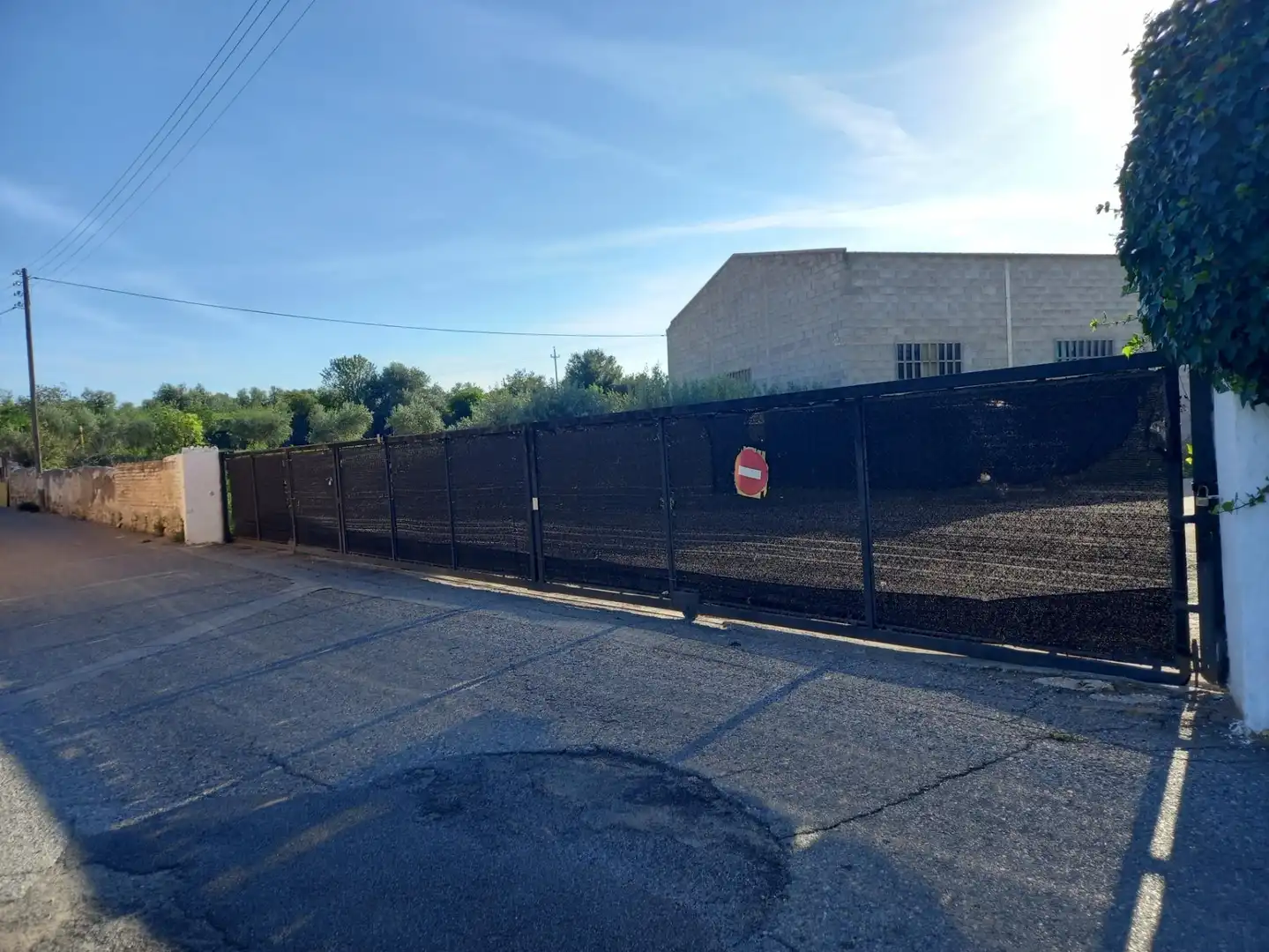 Nave industrial en venta en Móra d'Ebre, imagen 4