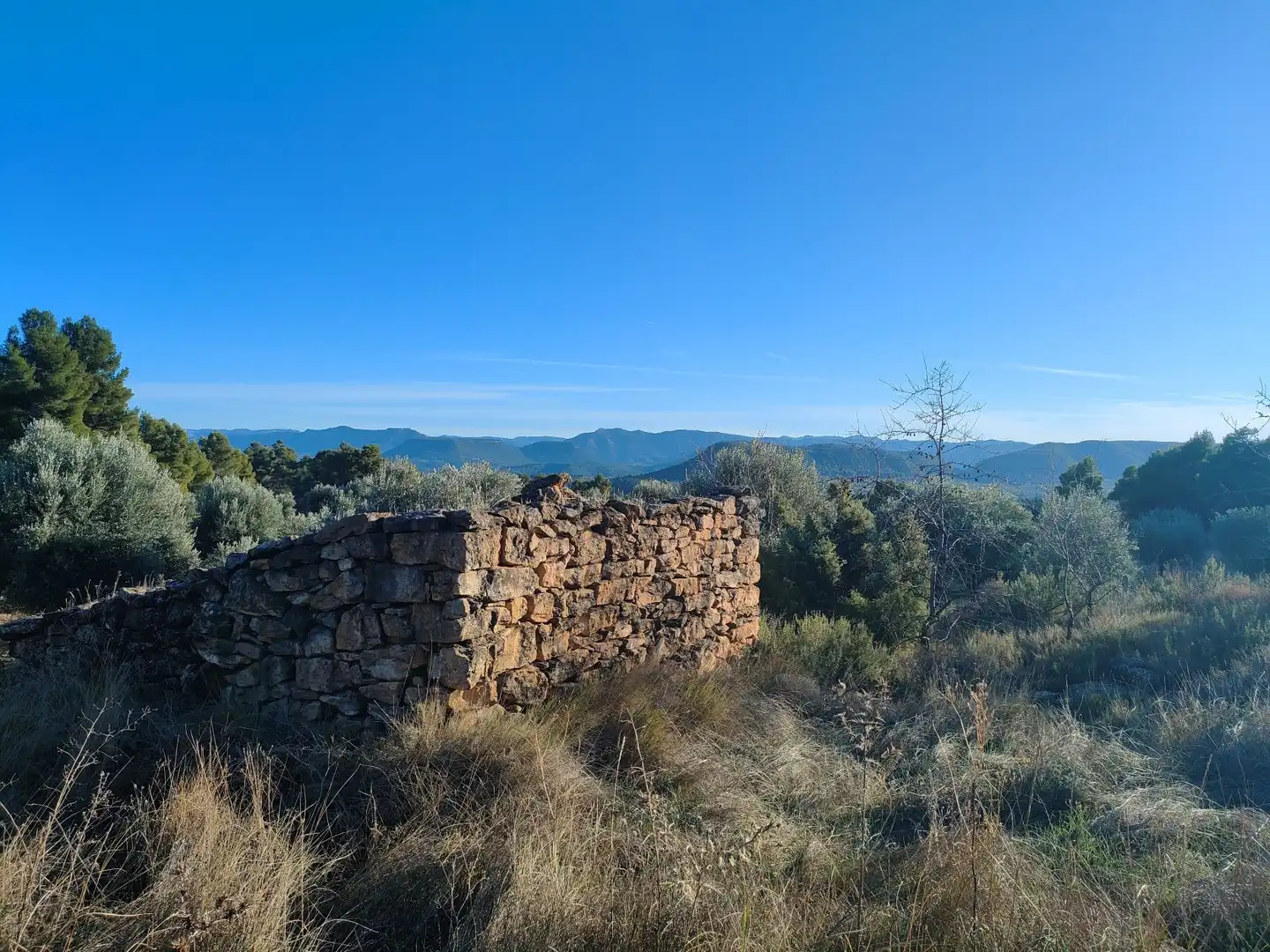Terreni e lotti in vendita a La Fresneda, imagen 2