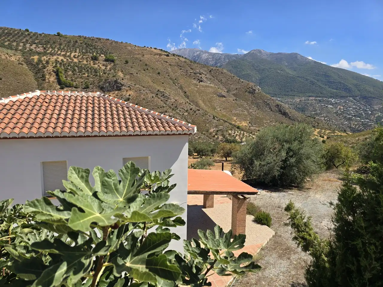 House for sale in Alcaucín, imagen 42