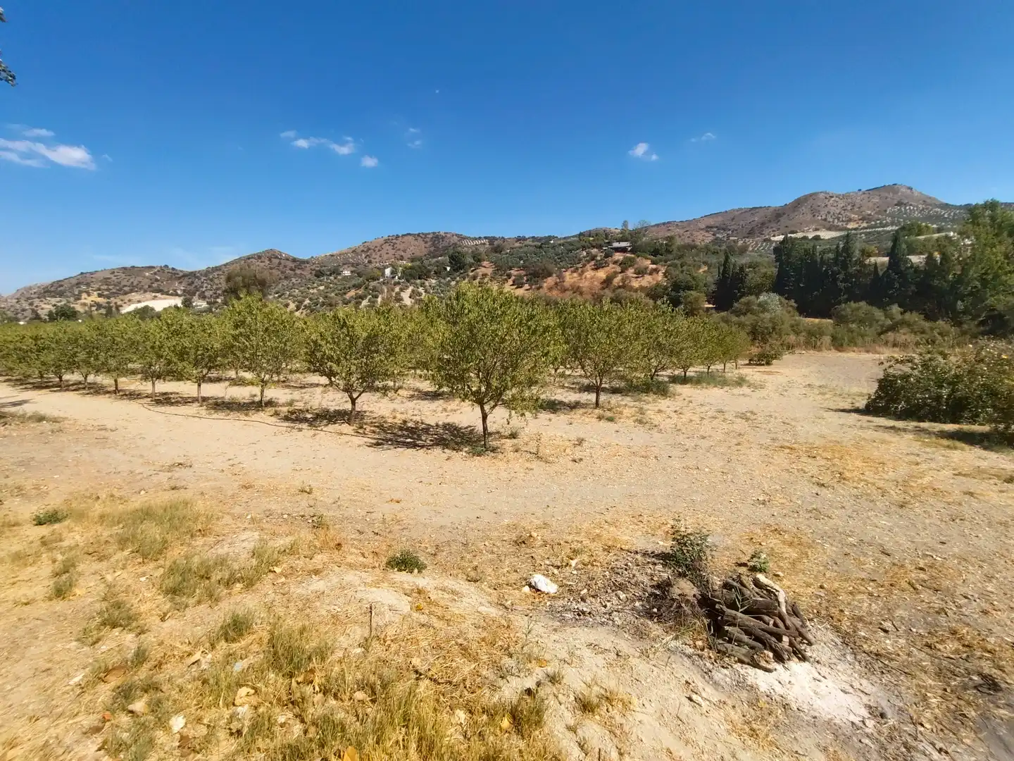 Country homes for sale in Priego de Córdoba  with Private garden, Terrace and Swimming Pool