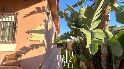 Foto 2 de Casa o xalet en venda a Centro - Torre de la Higuera, Almonte