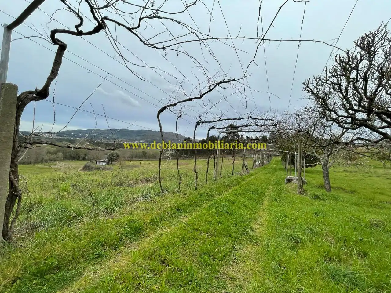 Maison avec jardin à vendre à Tui, imagen 13