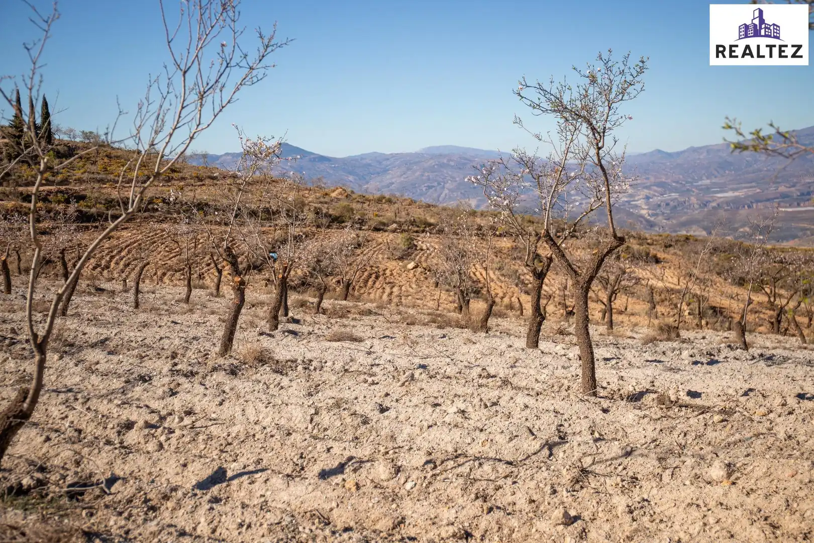 Rural land for sale in Laujar de Andarax, imagen 6