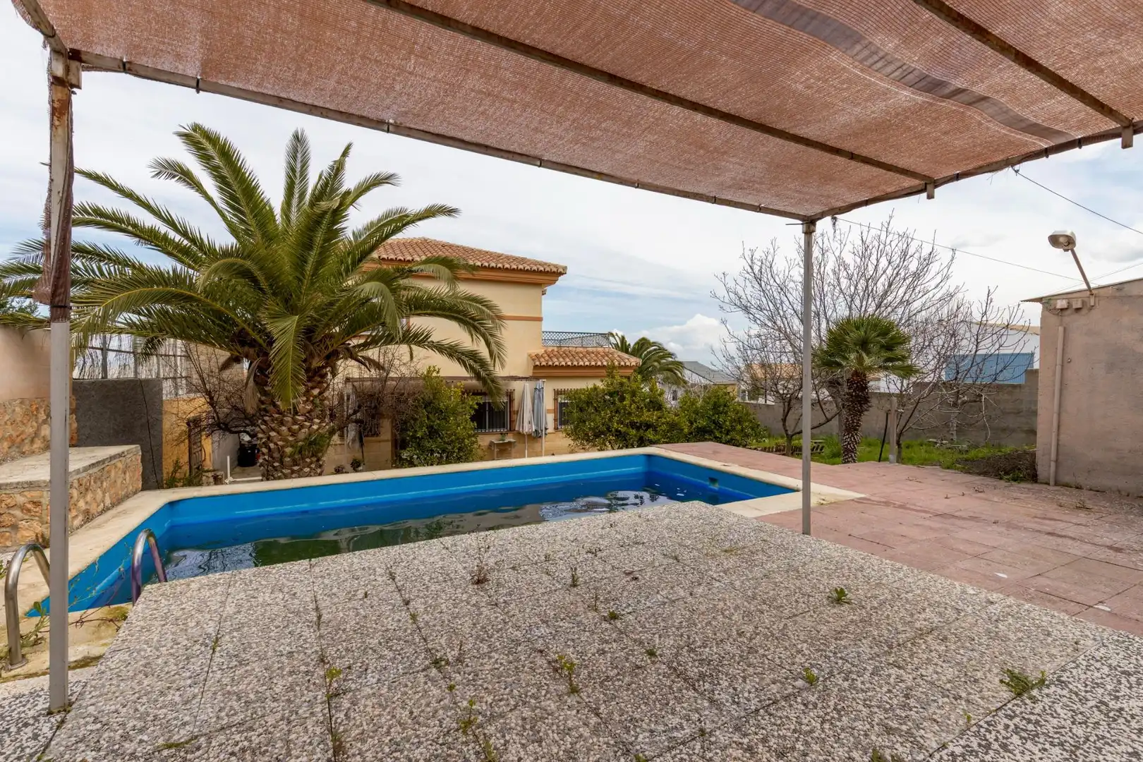 Piscina de Casa o chalet en venta en Escúzar con Terraza y Piscina