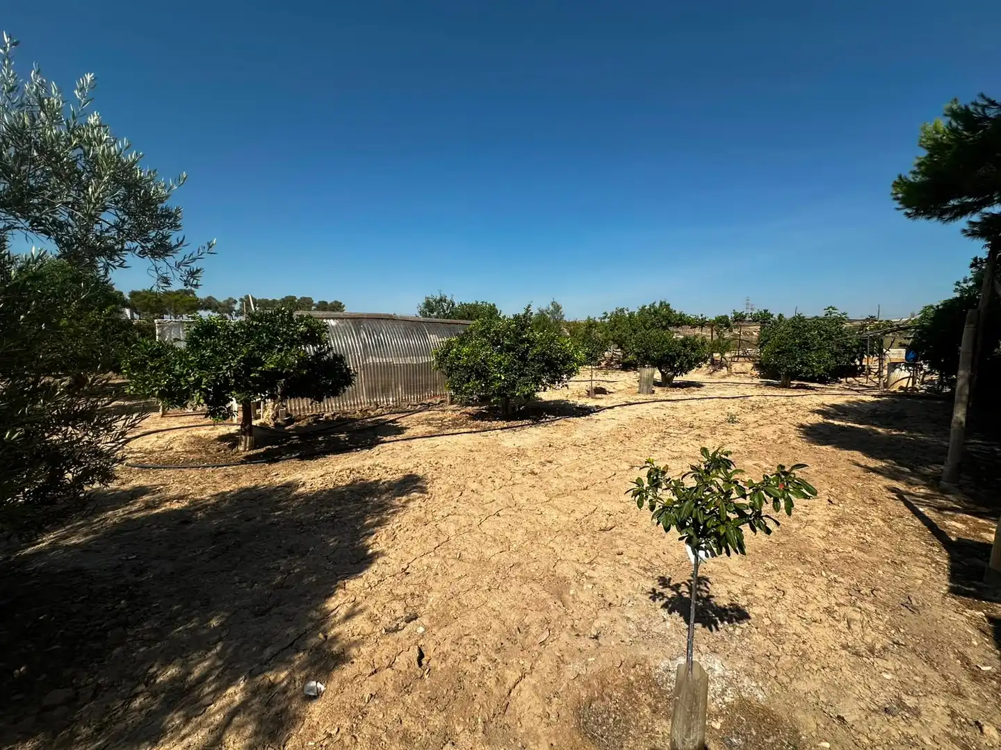 Terreno rústico en venta en Villamontes - Boqueres, imagen 17