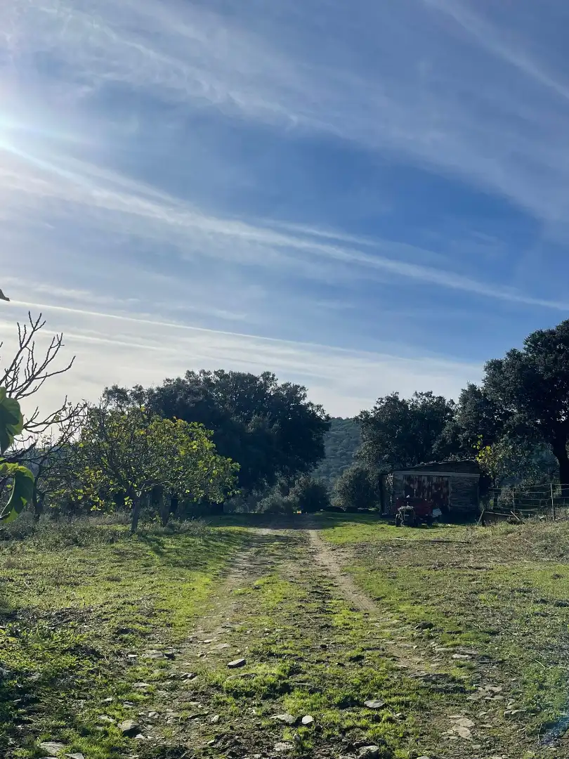 Vista exterior de Casa o chalet en venta en Plasencia con Jardín privado y Amueblado