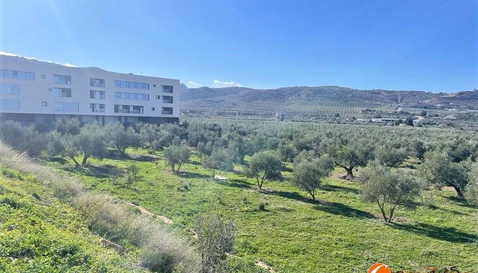 Photo 1 of Residential for sale in Doctor Diego Aragón, Fuentemora, Málaga