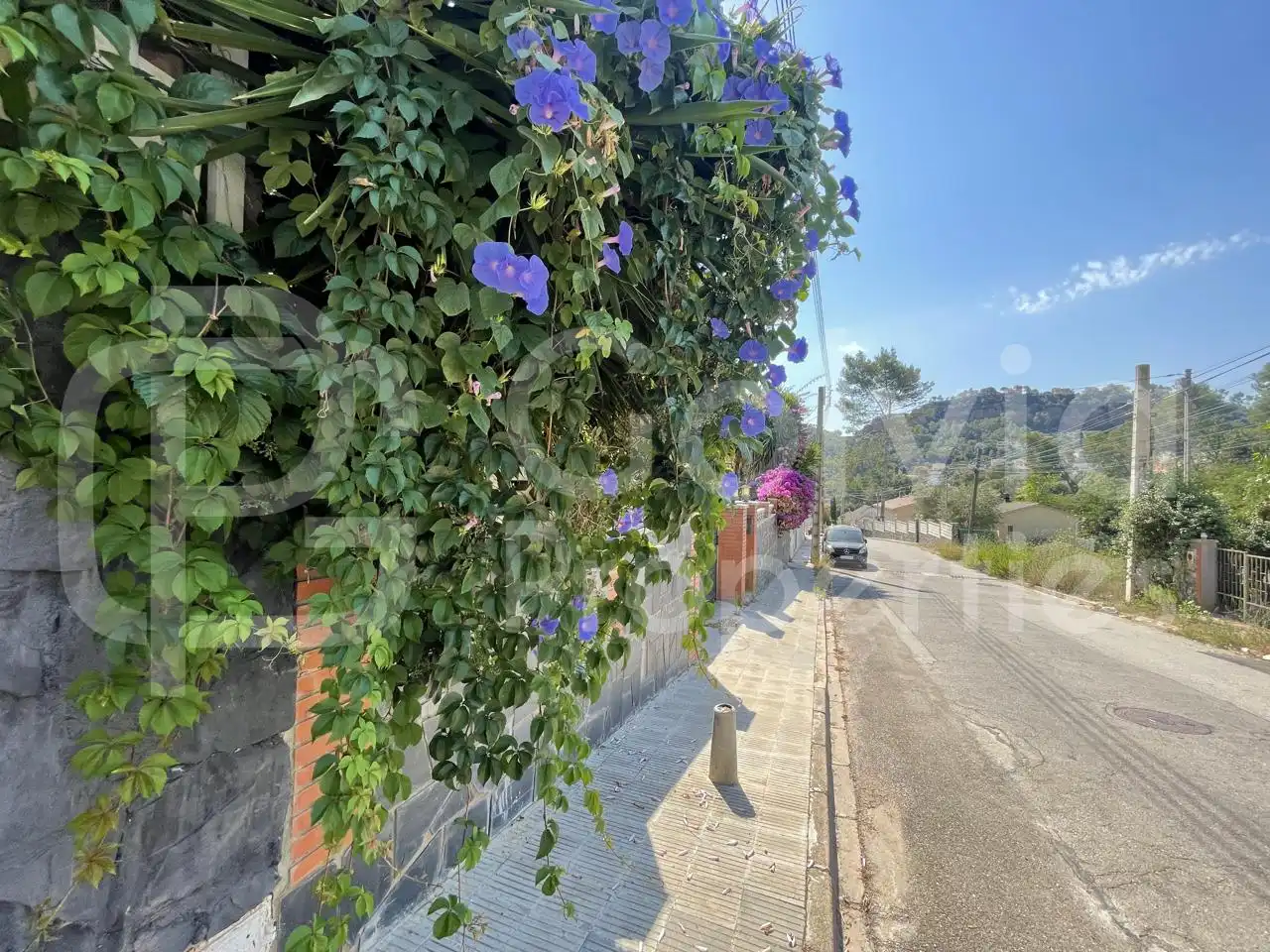 Lands and plots for sale in Carrer de l'Eucaliptus, imagen 5