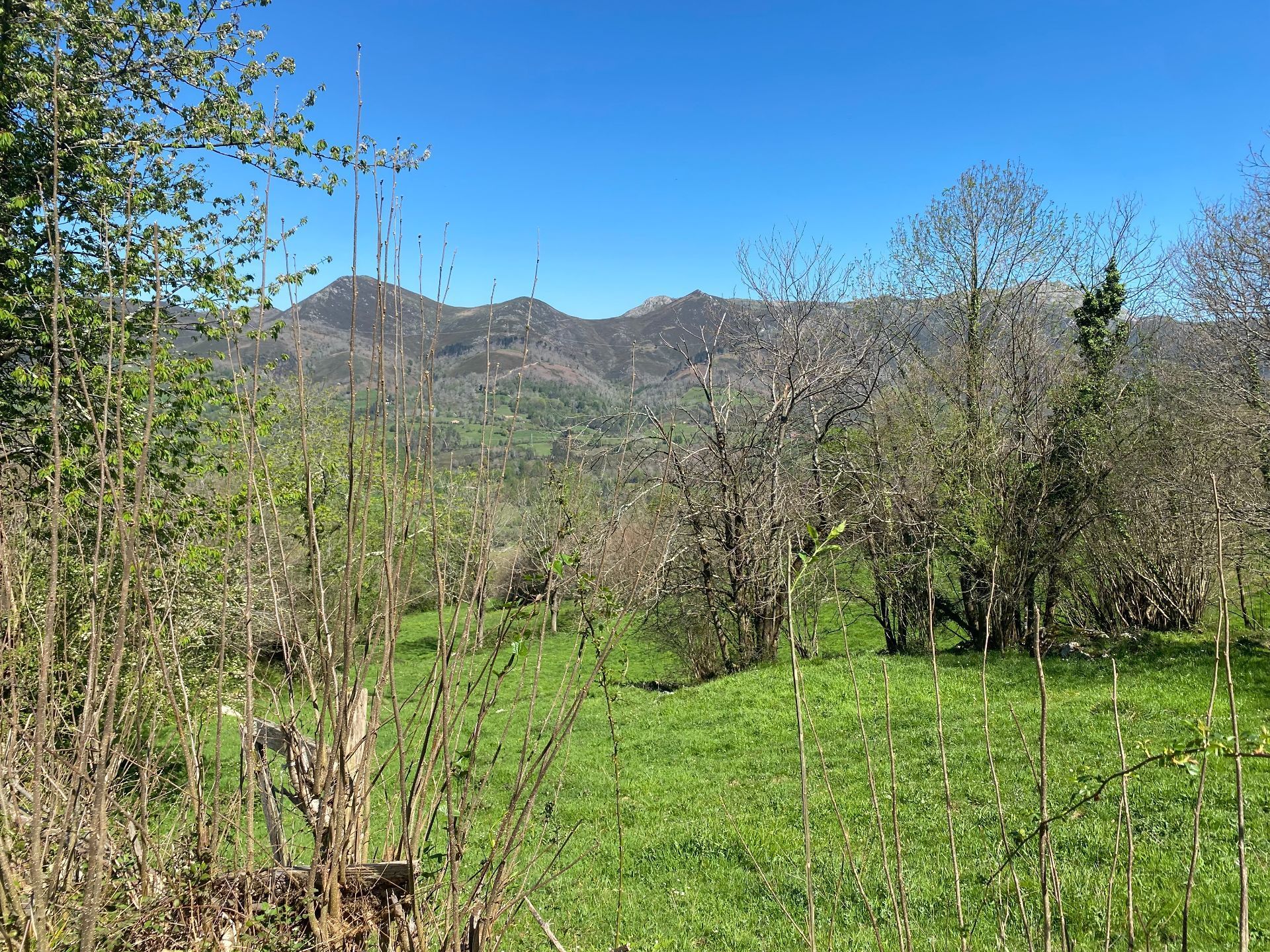 Land for sale in Bobia de Arriba, Onís