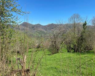 Grundstücke zum verkauf in Bobia de Arriba, Onís