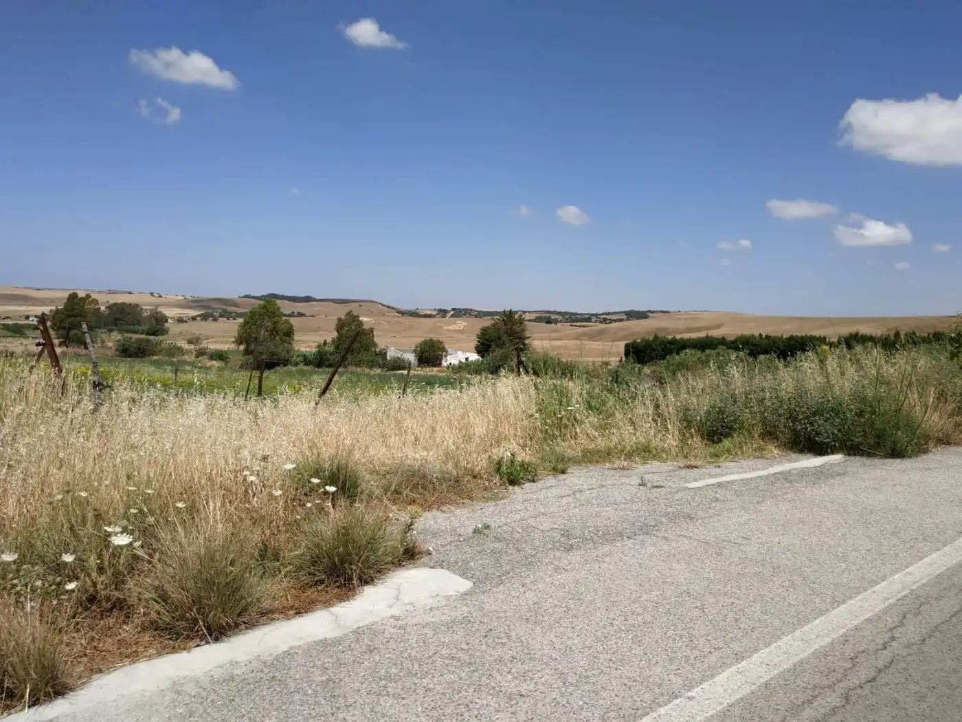 Finca rústica en venda en Medina Sidonia