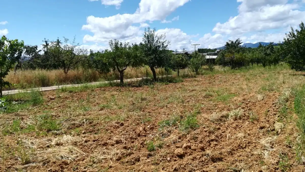 Terreni e lotti in vendita a Cacabelos, imagen 3