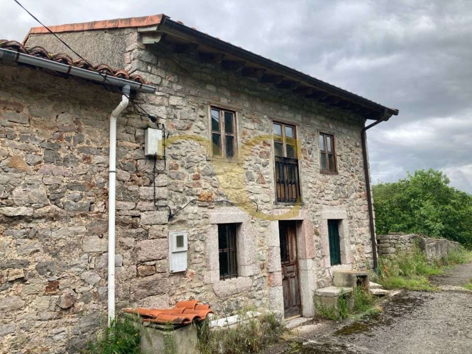 Vista exterior de Casa o xalet en venda en Peñamellera Alta amb Jardí privat i Traster