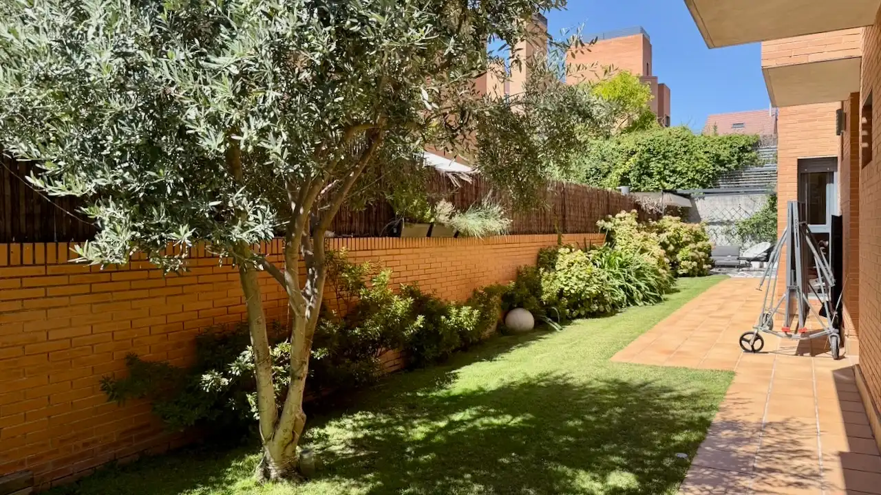 Jardín de Casa o chalet en venta en Paracuellos de Jarama con Aire acondicionado, Calefacción y Jardín privado