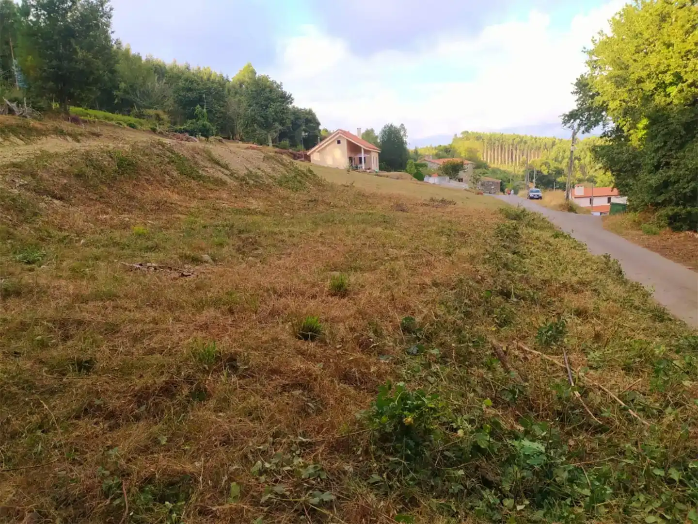 Terreno en venta en Cesuras
