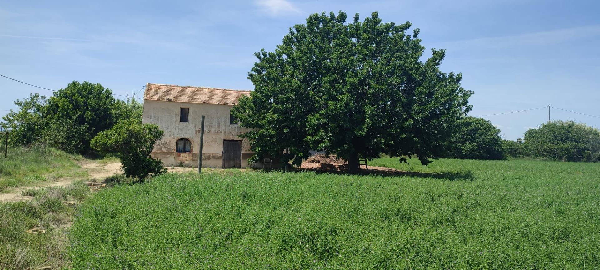 Residencial en venda en Guardamar del Segura