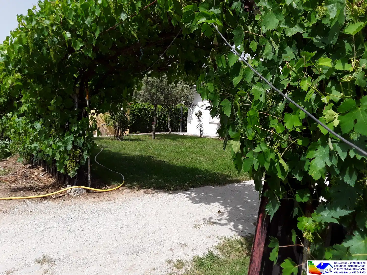 Jardín de Casa o chalet en venta en Fuente El Saz de Jarama con Aire acondicionado, Calefacción y Jardín privado
