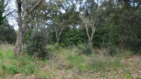 TERRENO EN BOSCOS DEL MONTNEGRE, immagine 4