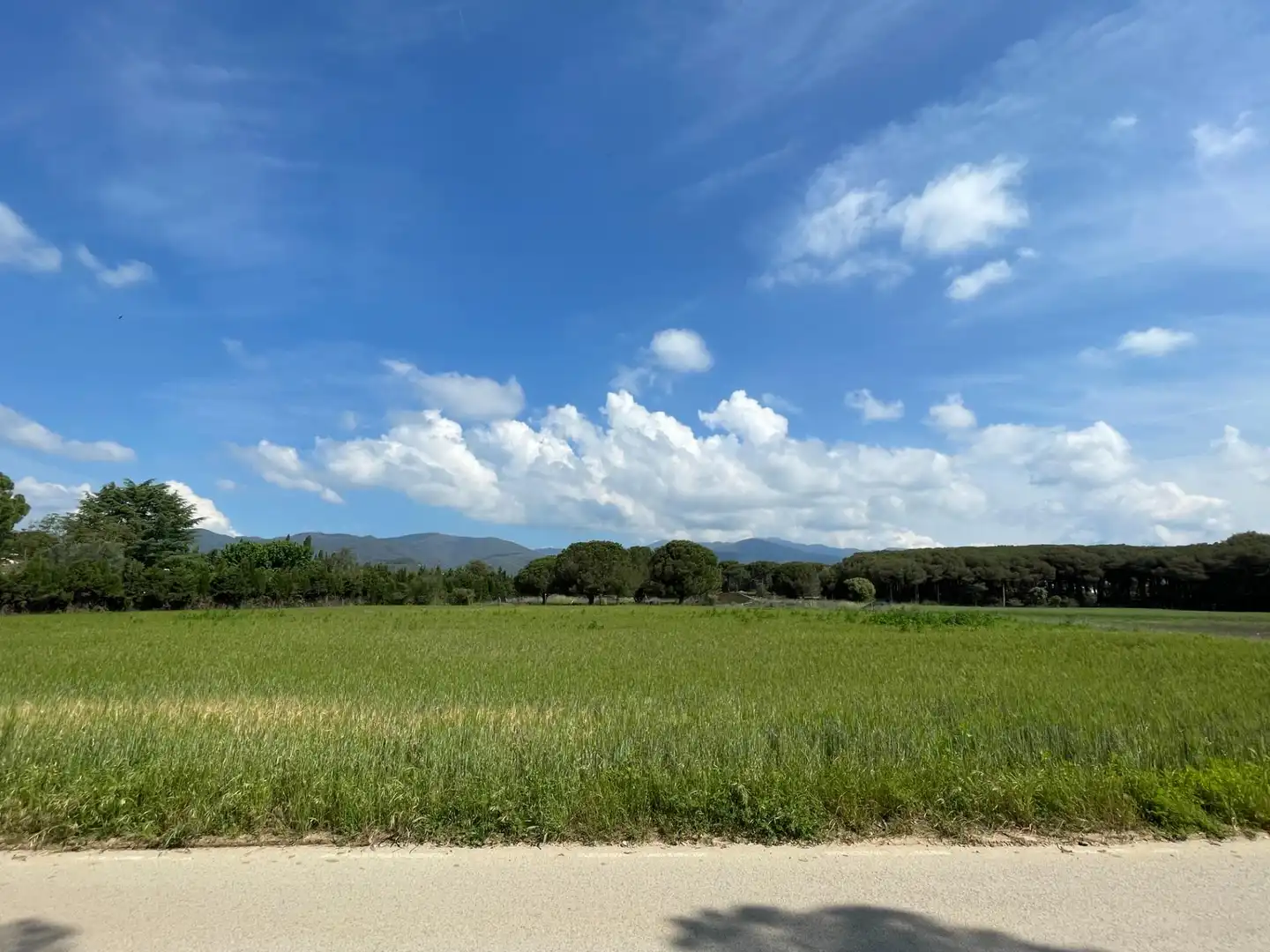 Terreno rustico in vendita a ALFOU Y S JAUME, imagen 7