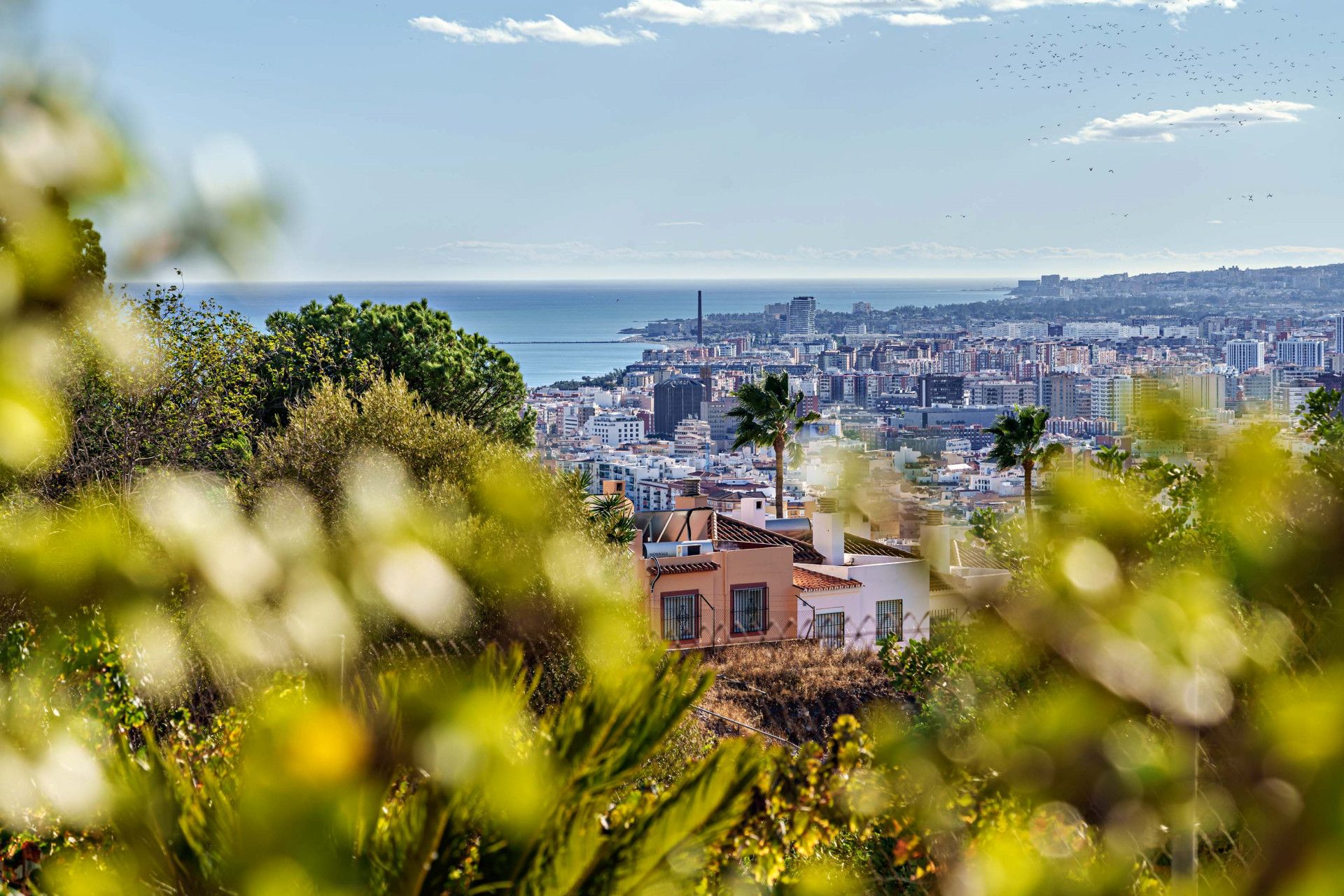 Vista exterior de Casa o xalet en venda en Málaga Capital amb Jardí privat i Terrassa