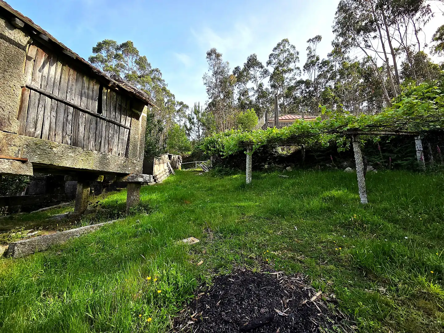 Jardín de Finca rústica en venta en Meis con Jardín privado y Terraza