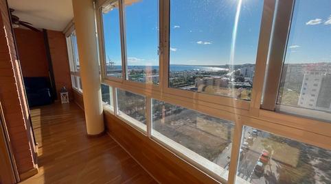 Photo 2 of Flat to rent in Carrer Nadadora Carmen Soto, Babel, Alicante