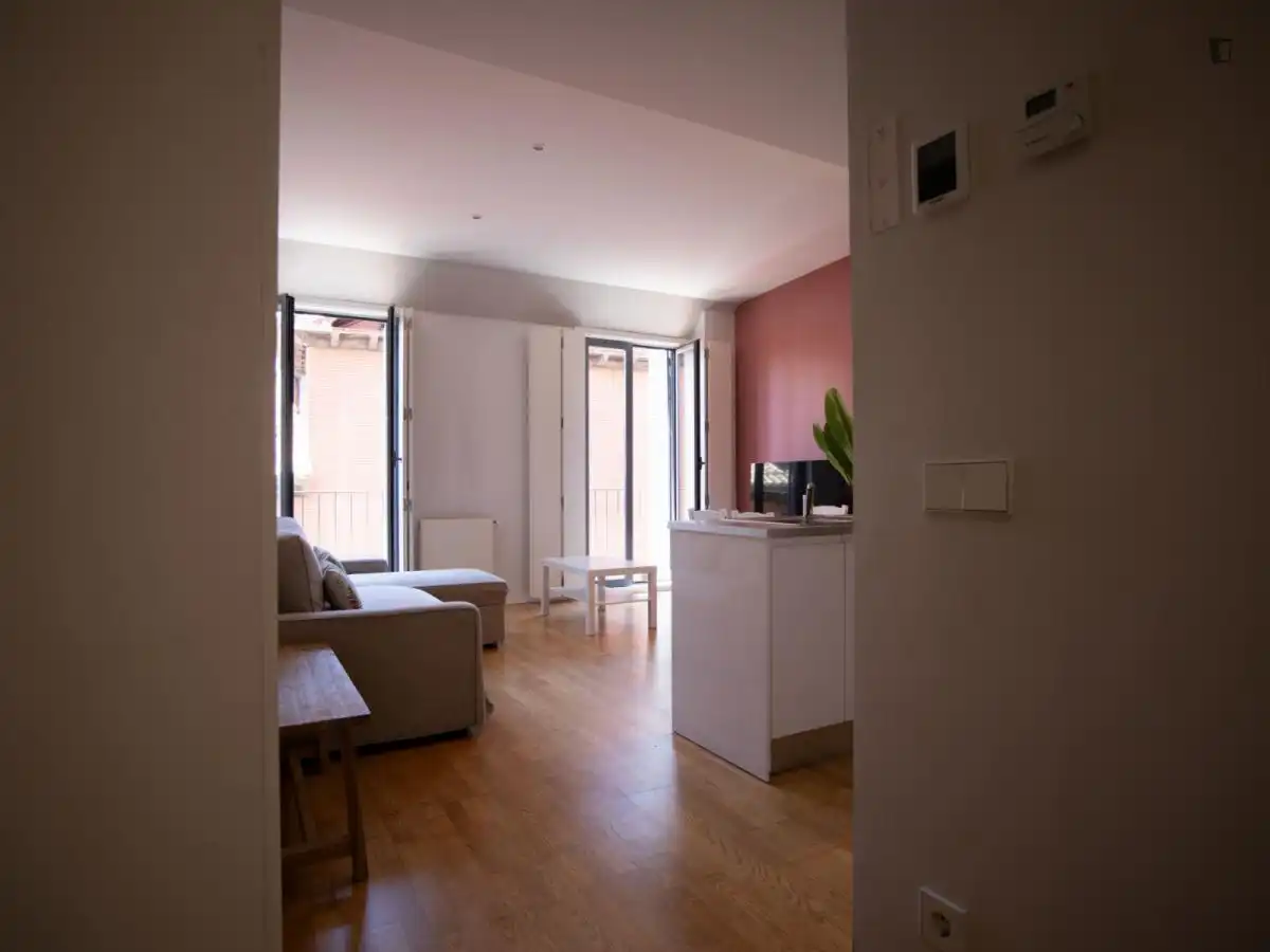 Apartament amb ascensor de lloguer a Centro, imagen 20