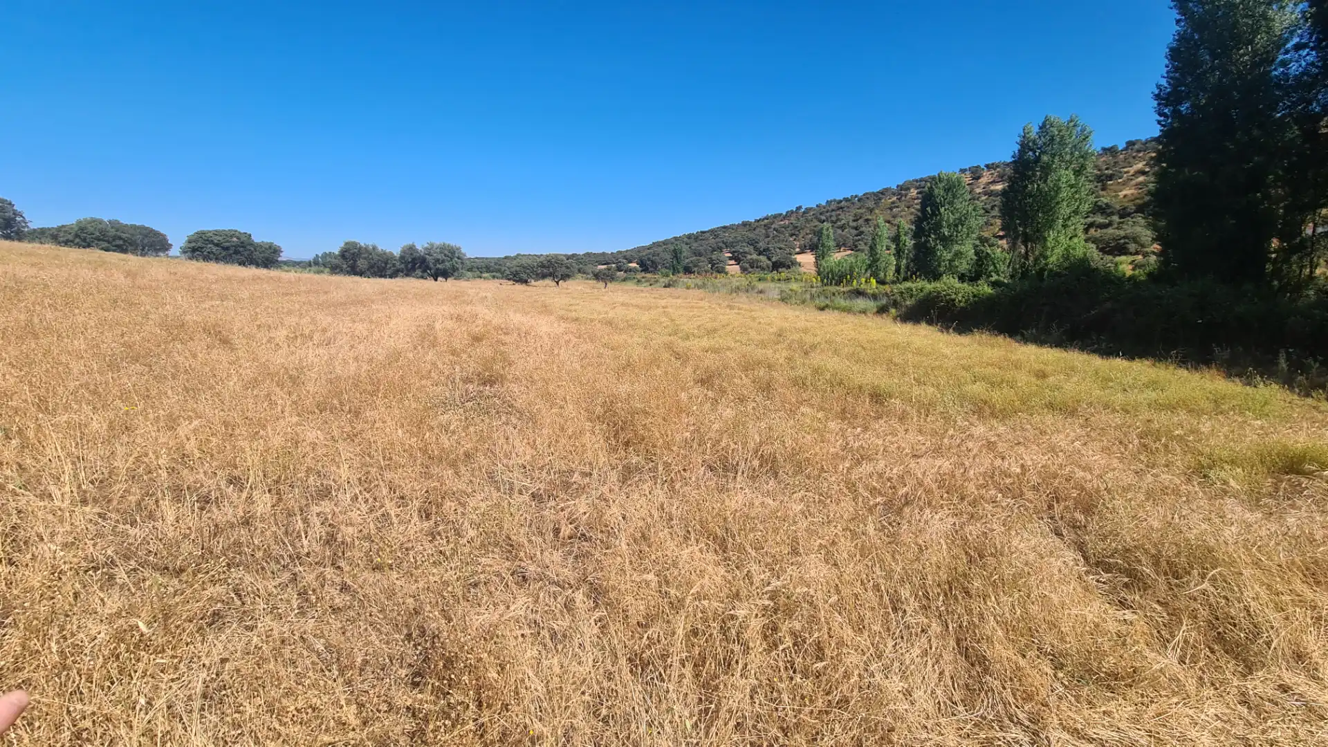 Terreno en venta en Malcocinado