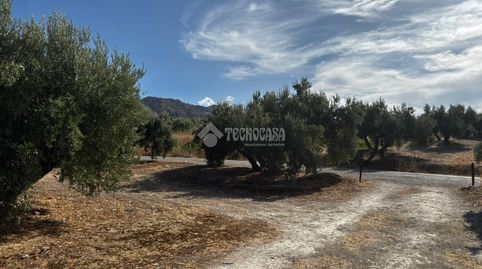 Terrenos en venta en Jódar, immagine 5