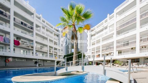 Apartamento con piscina comunitaria y licencia turistica