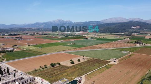 Finca rústica en Sa Pobla, immagine 2