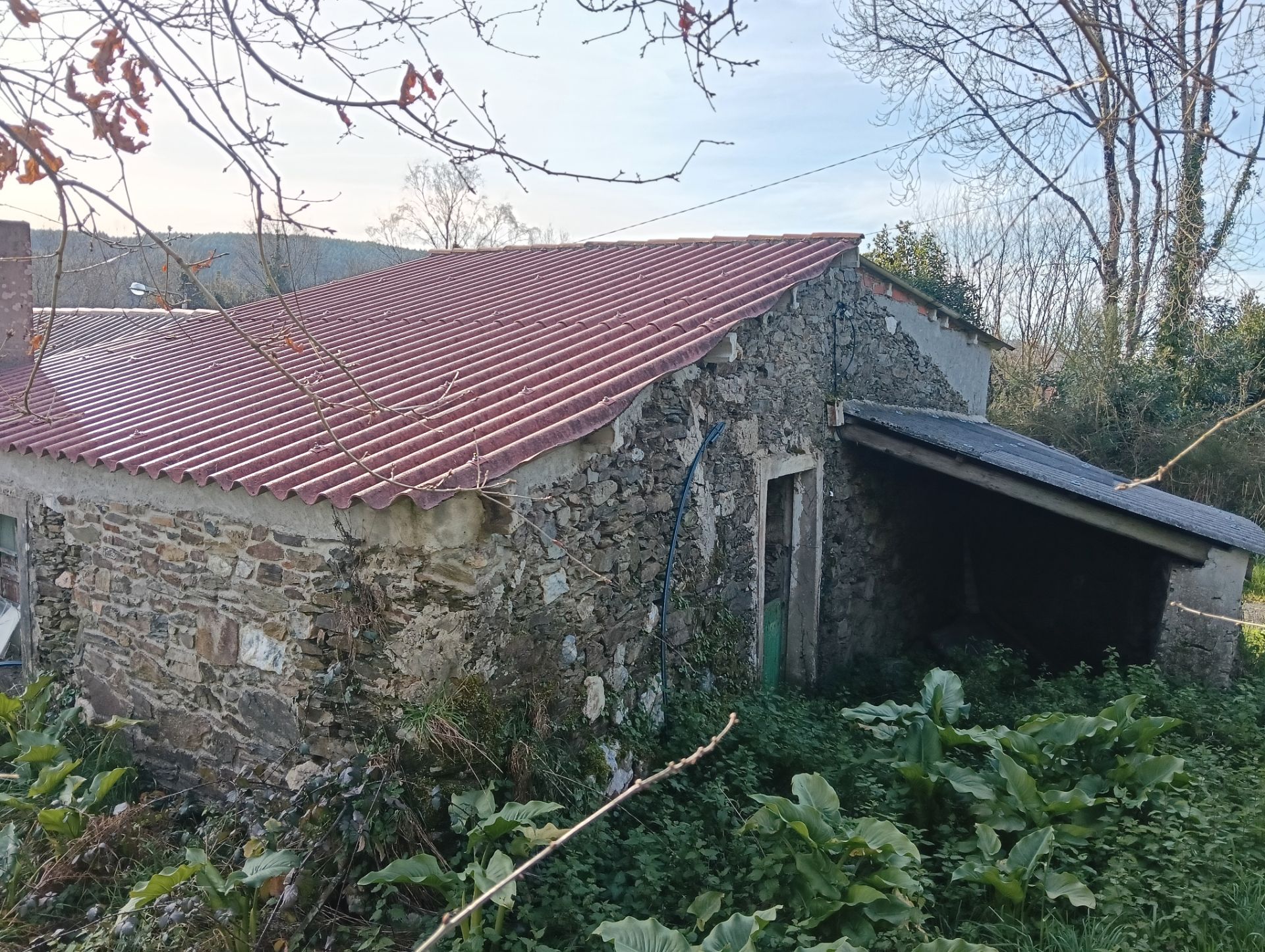 Exterior view of Single-family semi-detached for sale in Cesuras  with Private garden and Storage room