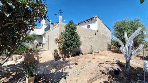 HUERTO ZONA FORN DE CARRASCOSA. A 5 MINUTOS DE ALZIRA