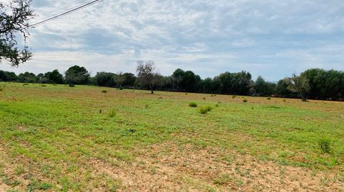 Photo 4 of Residential for sale in Felanitx Poble, Felanitx